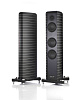 Напольная акустическая система Gauder DARC 100 Be L DV MK2 Цвет: Черный алюминий/Серебро [ALUMINIUM BLACK/SILVER]