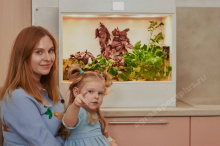 Гидропонная установка Агроаспект+ ECOBOX ED