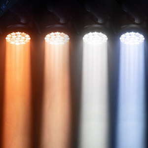 Поворотная голова типа Wash - Cameo EVOS W7 Поворотная голова типа Wash - Cameo EVOS W7