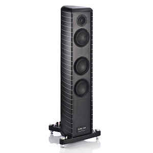Напольная акустическая система Gauder DARC 100 Be L DV MK2 Цвет: Черный алюминий/Серебро [ALUMINIUM BLACK/SILVER]