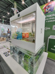 Аквапонная система Агроаспект+ AQUABOX ED