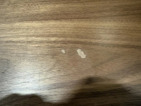 Полочная акустическая система Wharfedale 85th Anniversary Linton