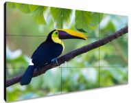 ЖК-панель для видеостены Exell EXPD-WI453AM 49"