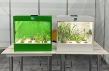 Гидропонная установка Агроаспект+ ECOBOX ED