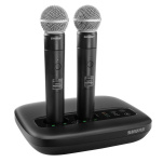Точка доступа Shure MXWAPXD2E