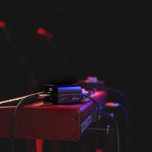 Пассивный линейный изолятор Palmer RIVER iller