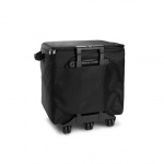 Комплект аксессуаров LD Systems DAVE 10 G4X BAG SET