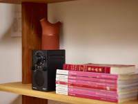 Портативный радиоприемник Tivoli PAL BT Цвет: Черный [Black]