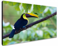 ЖК-панель для видеостен Exell EXPD-WA55AB15 55"