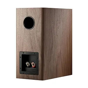 Полочная АС Dynaudio Evoke 20 Цвет: Орех [WALNUT WOOD]