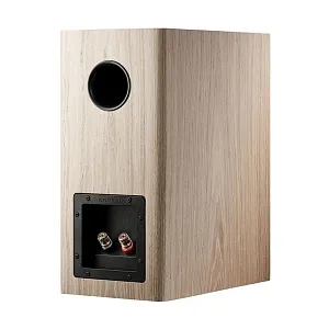 Полочная АС Dynaudio Evoke 20 Цвет: Светлое дерево  [BLONDE WOOD]